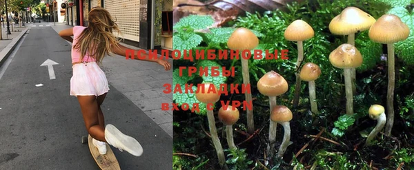 ешки Алексин