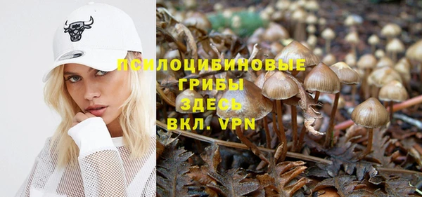 ешки Алексин