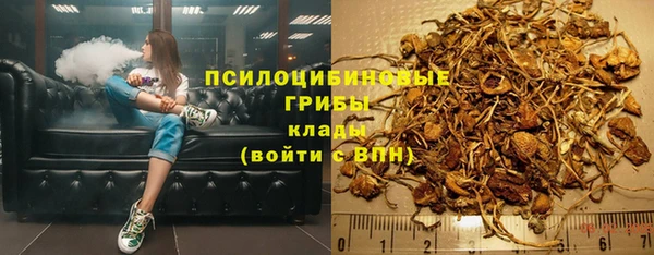 ГАЛЛЮЦИНОГЕННЫЕ ГРИБЫ Алзамай
